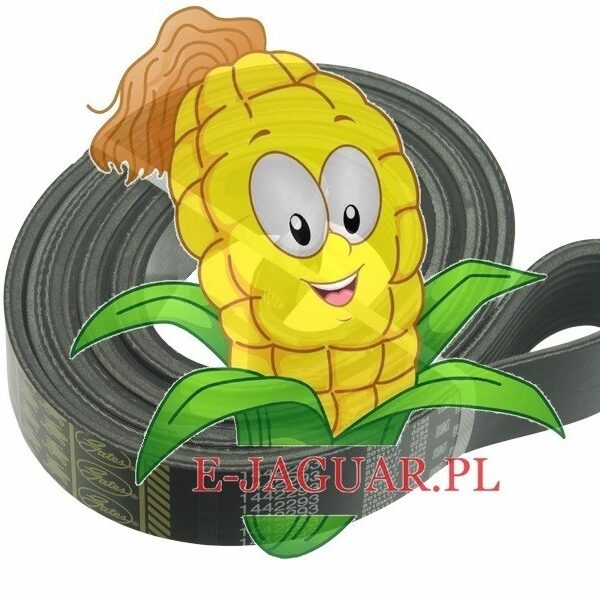 PAS 67289 wielorowkowy, OM502LA Claas Jaguar OPTIBELT
