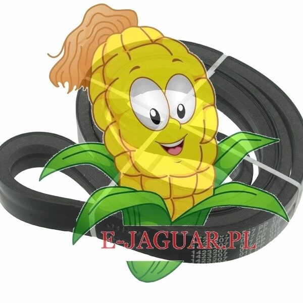 PAS 629769 walce wciągające Claas Jaguar Agro-belt