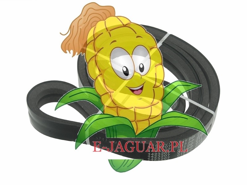 PAS 629769 walce wciągające Claas Jaguar Agro-belt