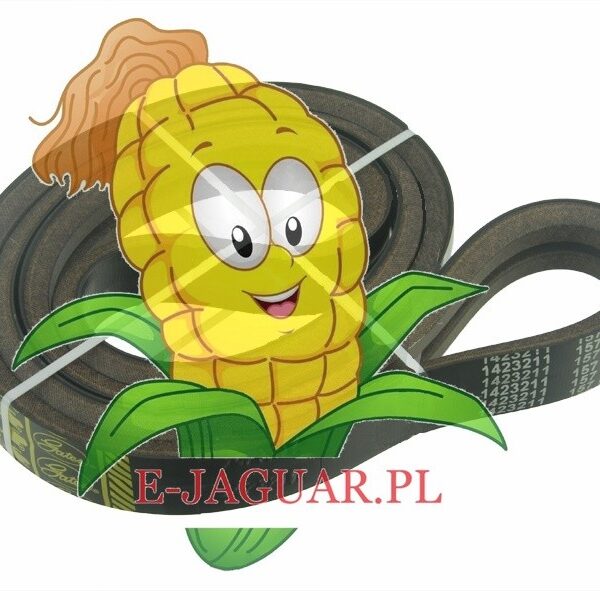 PAS 629763 gniotownik lewa strona Claas Jaguar